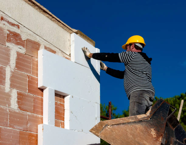 Best Attic Insulation Near Me  in Mount Pleasant, SC