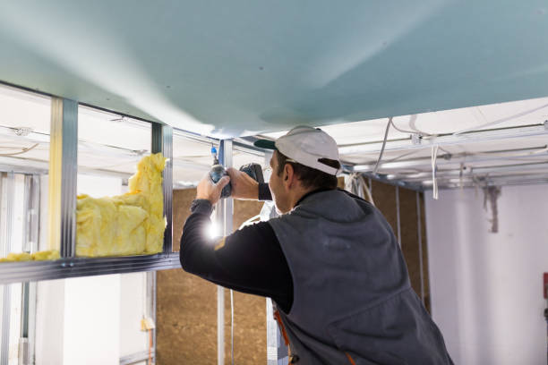 Best Insulation Inspection Services  in Mount Pleasant, SC