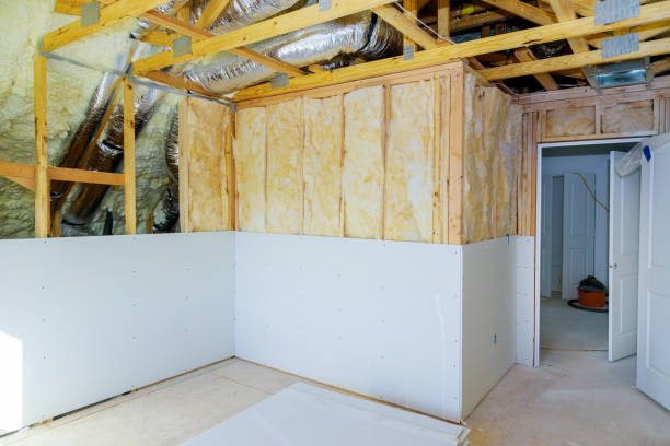 Best Crawl Space Insulation  in Mount Pleasant, SC