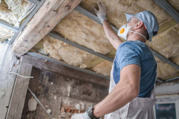Best Energy-efficient Insulation  in Mount Pleasant, SC