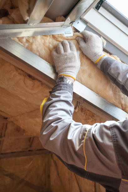 Best Home Insulation Services  in Mount Pleasant, SC