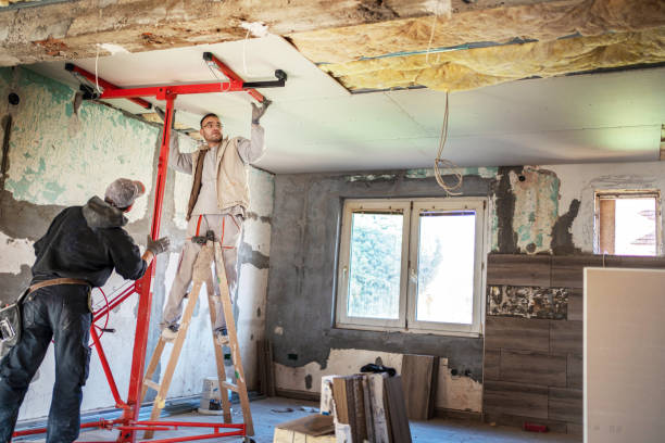 Best Commercial Insulation Contractor  in Mount Pleasant, SC