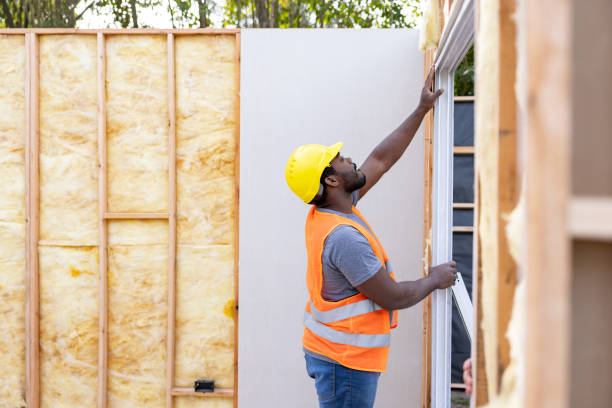 Best Insulation for New Construction  in Mount Pleasant, SC