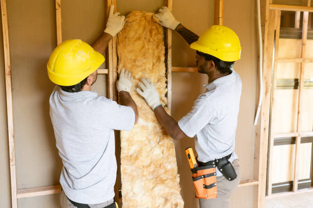 Best Professional Insulation Contractor  in Mount Pleasant, SC