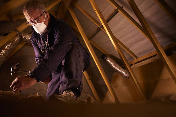 Best Spray Foam Insulation  in Mount Pleasant, SC