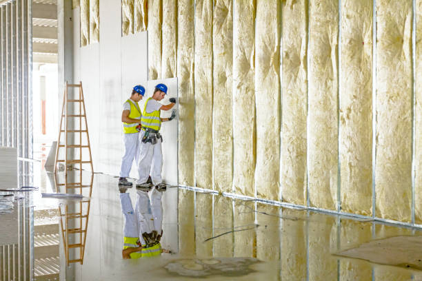 Range of Insulation Solutions in Mount Pleasant, SC